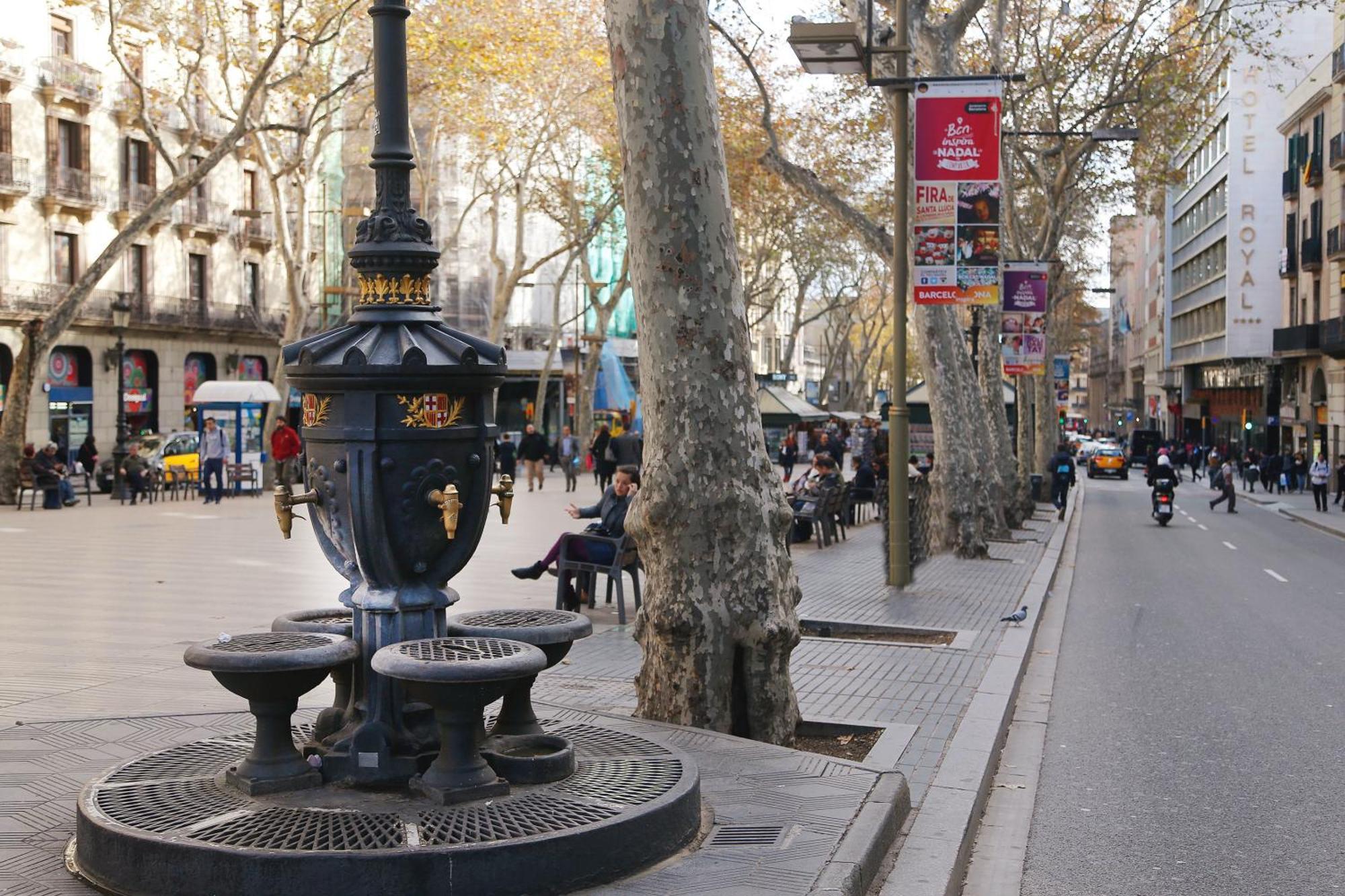 Royal Ramblas — الصور 3